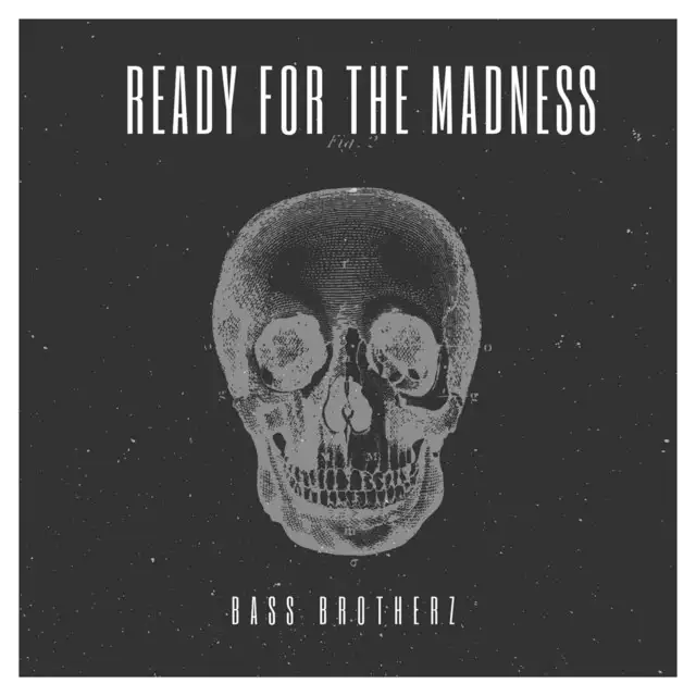 Ready for the Madness by Bass Brotherz - Hardstyle cover art