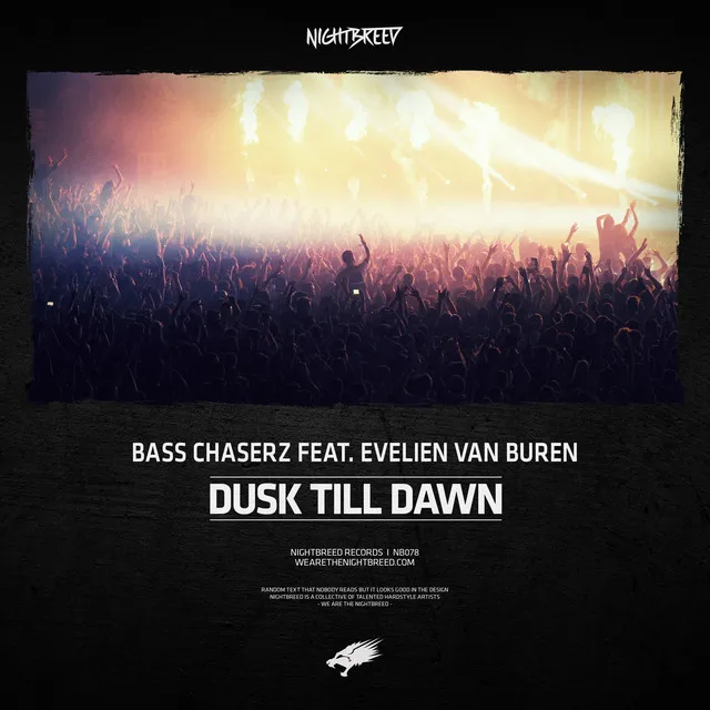 Dusk Till Dawn by Bass Chaserz, Evelien van Buren - Rawstyle cover art