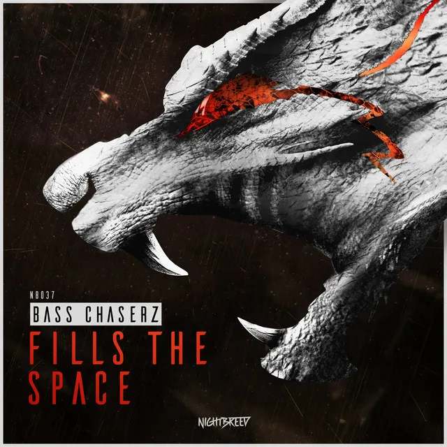 Fills The Space - Radio Edit by Bass Chaserz - Rawstyle cover art