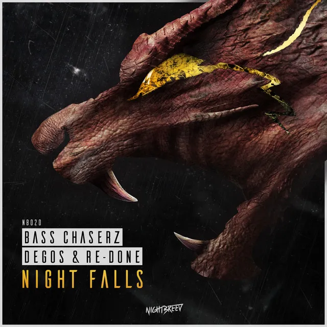 Night Falls - Radio Edit by Bass Chaserz, Degos & Re-Done - Rawstyle cover art