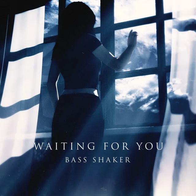 Waiting for You by Bass Shaker - Hardstyle cover art