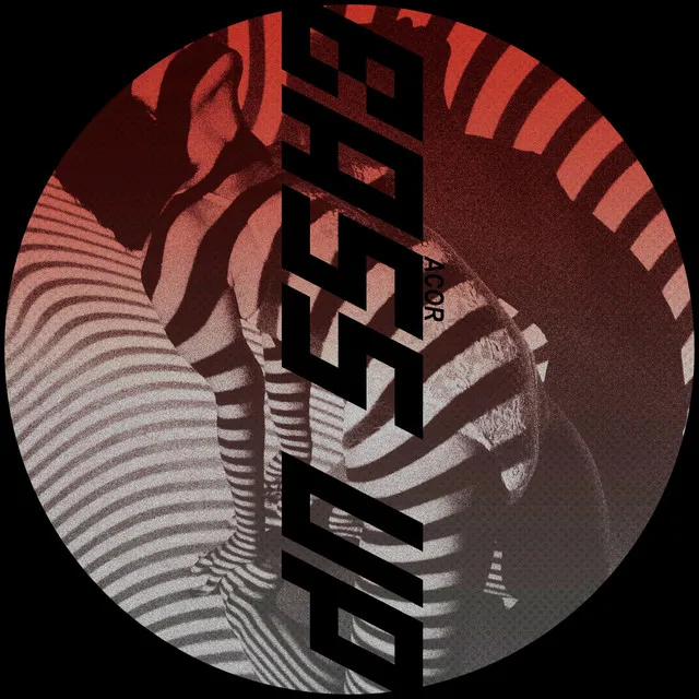 Cover art of Bass Up