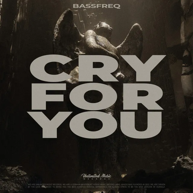 Cry for You - Hardstyle Mix by Bassfreq - Hardstyle cover art