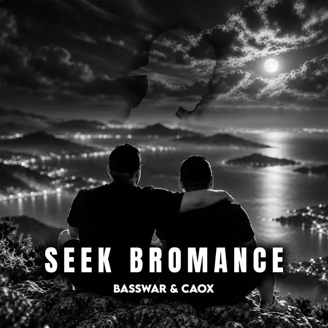 Seek Bromance (Hardstyle) by BassWar & CaoX - Hardstyle cover art