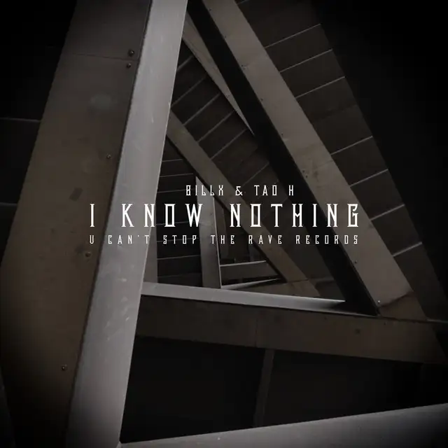 I Know Nothing by Billx, Tao H - Frenchcore cover art