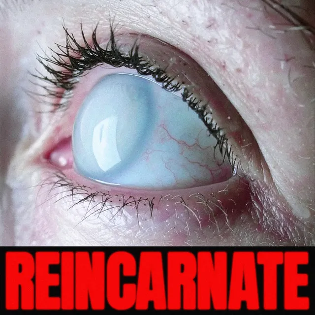 Reincarnate by Binary Squad - Hard Techno cover art