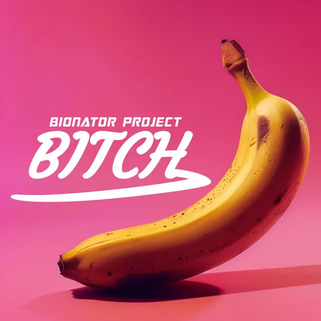 Bitch by Bionator Project - Frenchcore cover art