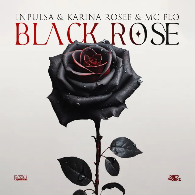Cover art of Black Rose