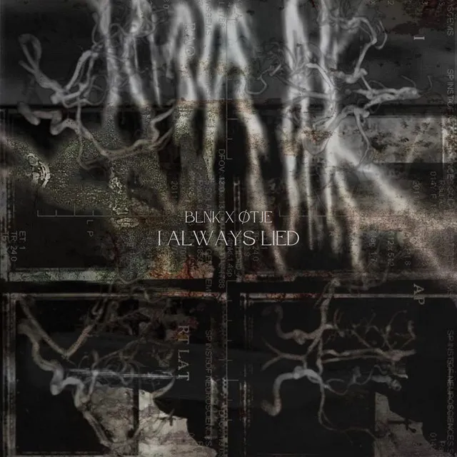 I Always Lied by BLNK, ØTJE - Hard Techno cover art
