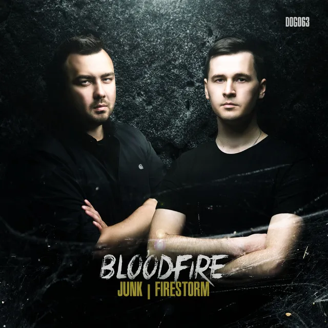 Junk by Bloodfire - Hardcore cover art