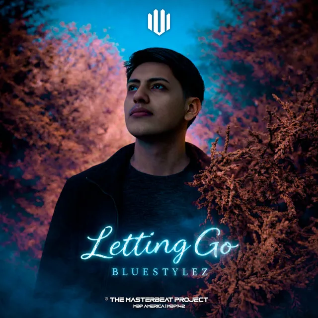 Letting Go - Extended Mix by Bluestylez - Hardstyle cover art