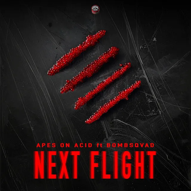 Next Flight by Bombsqvad, Apes On Acid - Hard Techno cover art
