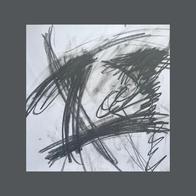 Cover art of bota
