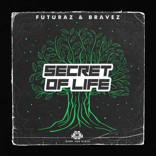 Secret of Life by Bravez, Futuraz - Hardstyle cover art