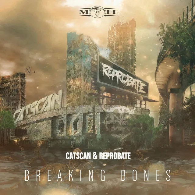 Cover art of Breaking Bones