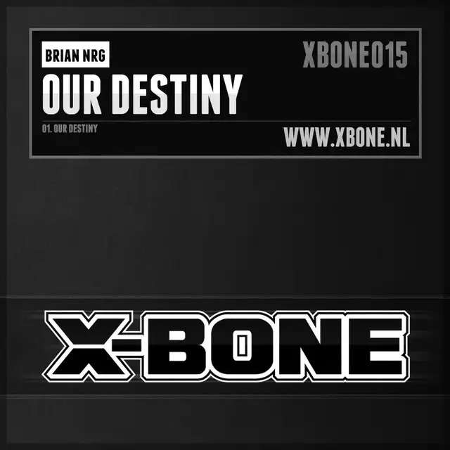 Our Destiny - Original Mix by Brian NRG - Hardstyle cover art