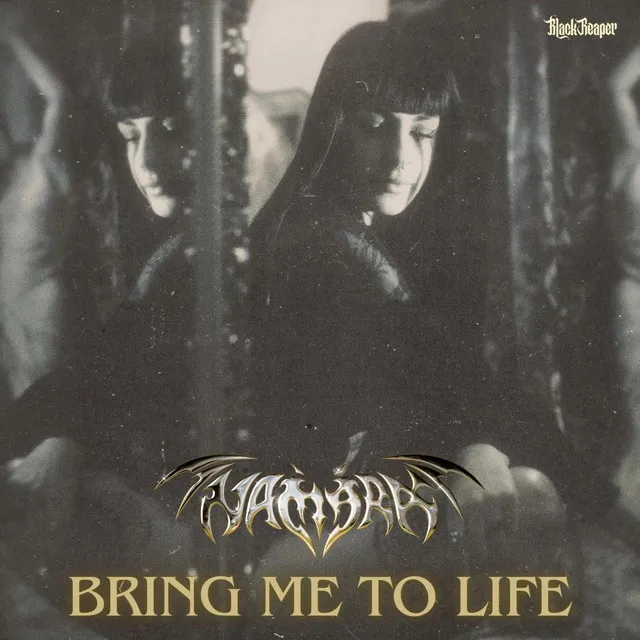 Cover art of Bring Me To Life