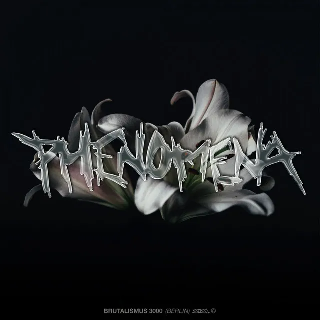 Phenomena by Brutalismus 3000 - Hard Techno cover art