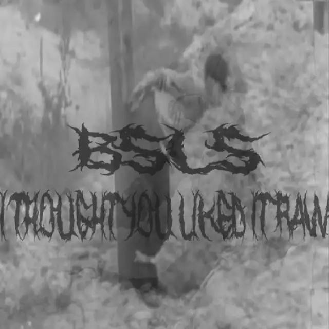 I Thought You Liked It RAW by BSLS - Hard Techno cover art
