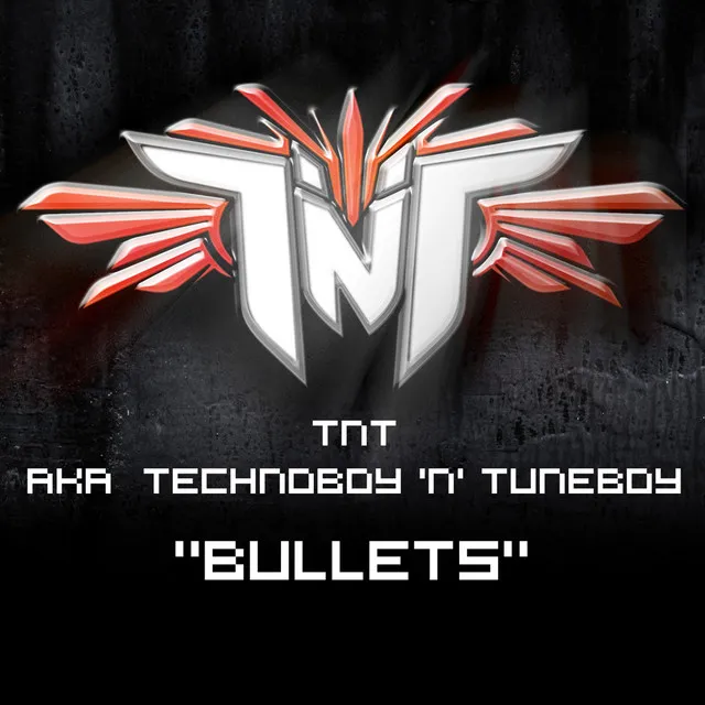 Cover art of Bullets