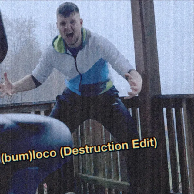 (bum)loco [destruction edit] by Bumloco - Frenchcore cover art