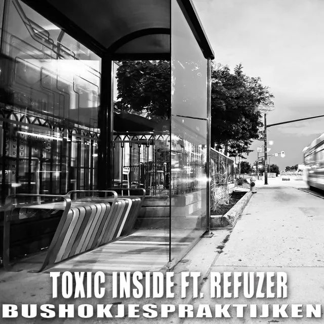 Cover art of Bushokjespraktijken