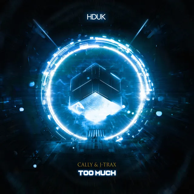 Too Much - Radio Edit by Cally, J-Trax - Hardstyle cover art