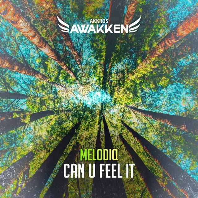 Cover art of Can U Feel It
