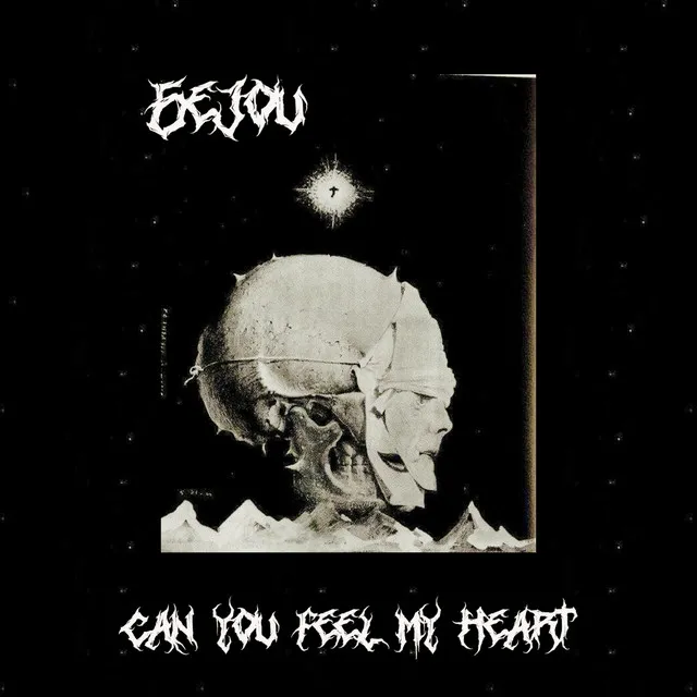 Cover art of Can You Feel My Heart