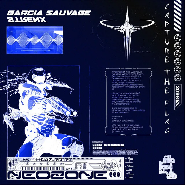 Cover art of Capture The Flag