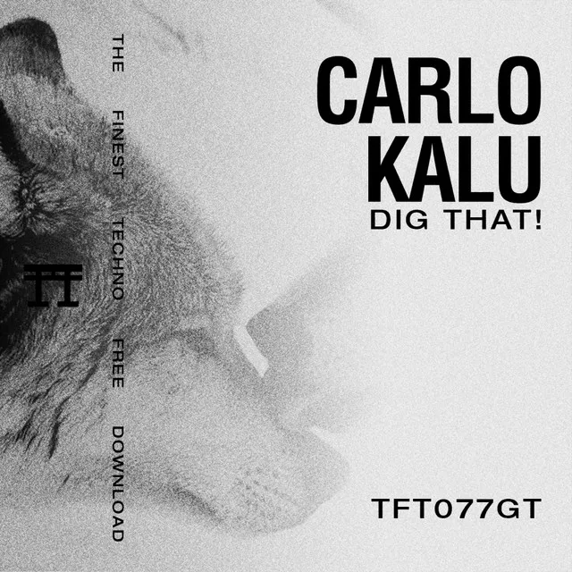 DIG THAT! by carlo kalu - Hard Techno cover art