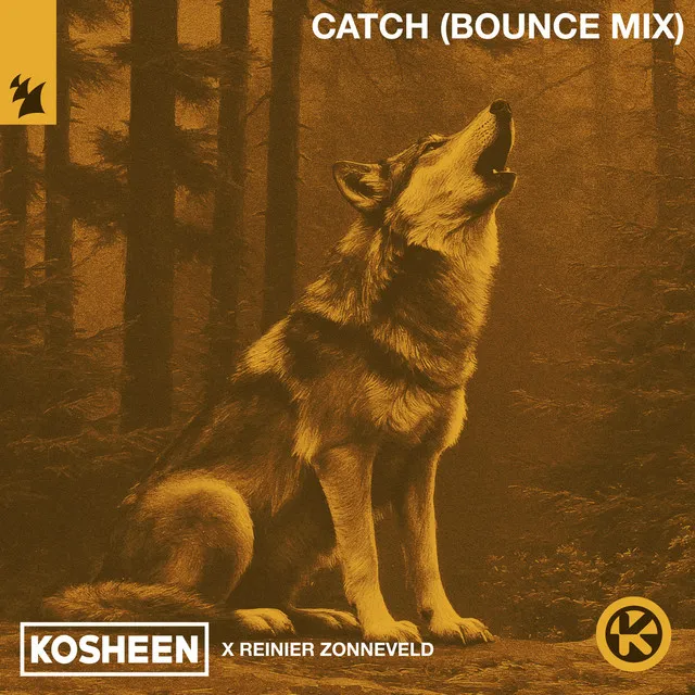 Cover art of Catch (Bounce Mix)