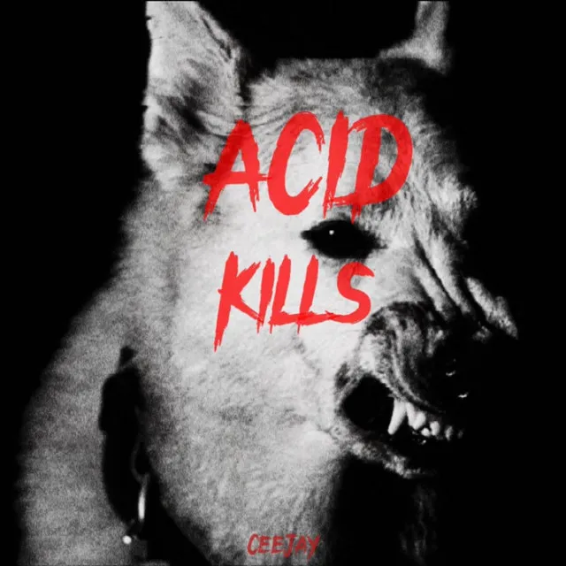 ACID KILLS by CEEJAY - Hard Techno cover art