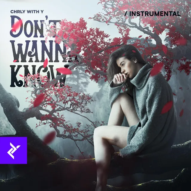 Don't Wanna Know - Instrumental by Charly with y - Hardstyle cover art