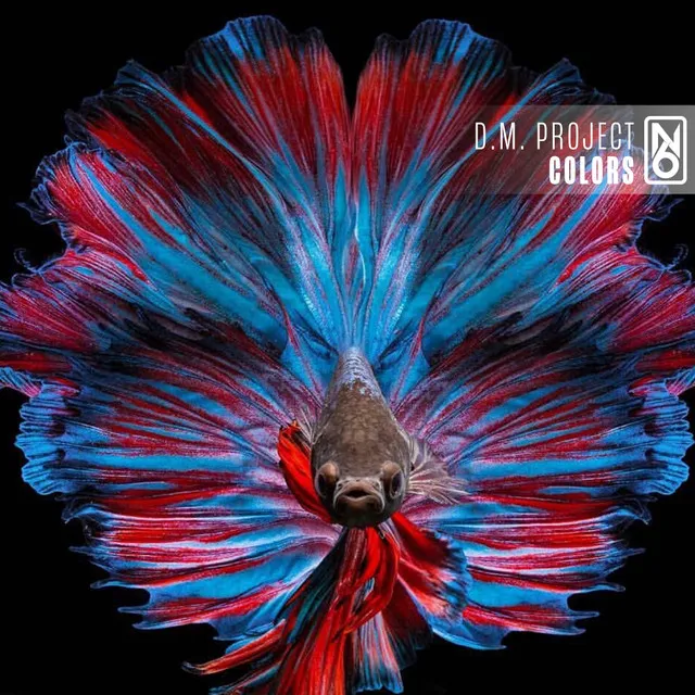 Colors - Radio Edit by Chris Ponate, D.M. Project - Hardstyle cover art