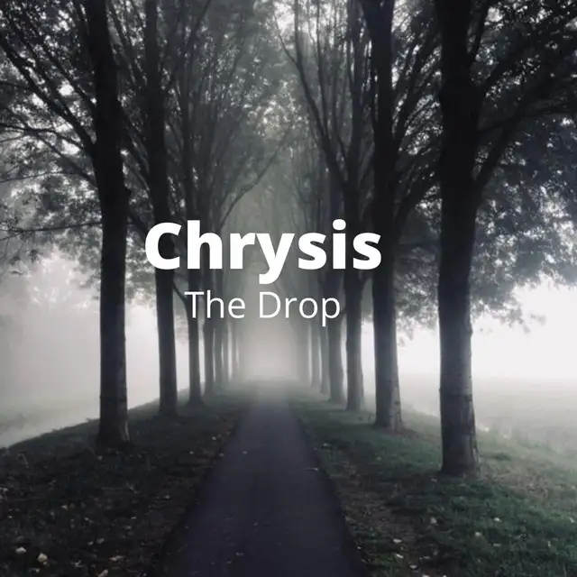 The Drop by Chrysis - Hardstyle cover art