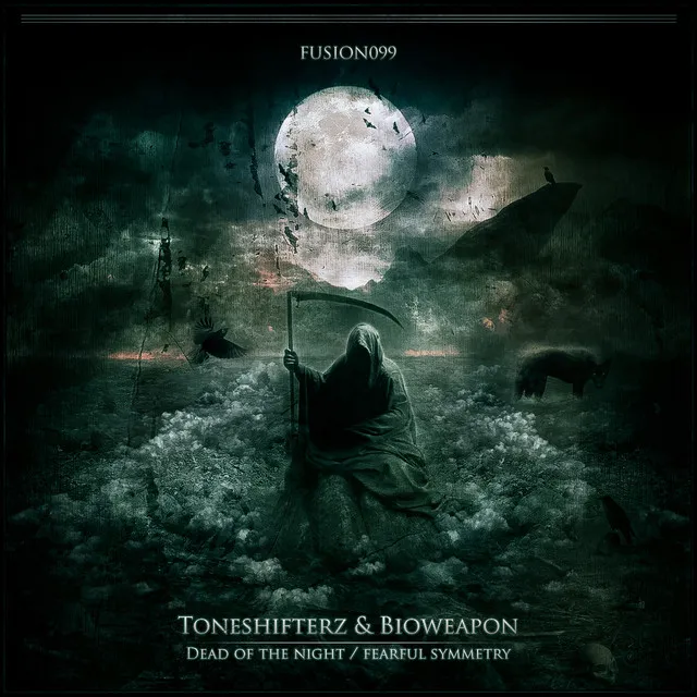 Fearful Symmetry - Original Edit by Code Black, Toneshifterz, Bioweapon - Hardstyle cover art