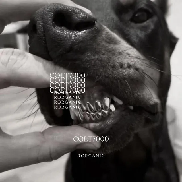 Cover art of colt7000