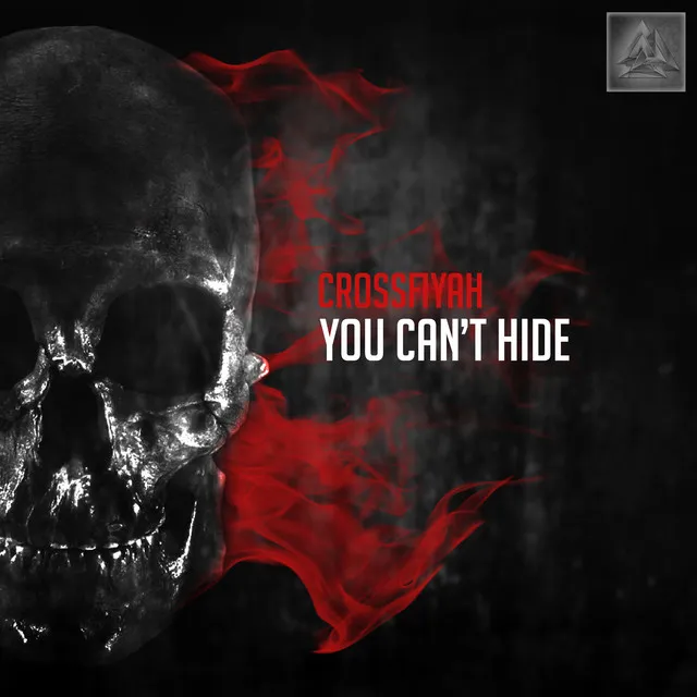 You Can't Hide - Original Mix by Crossfiyah - Hardcore cover art