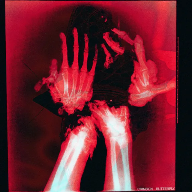 Crimson Butterfly by D|K|OXY - Hard Techno cover art
