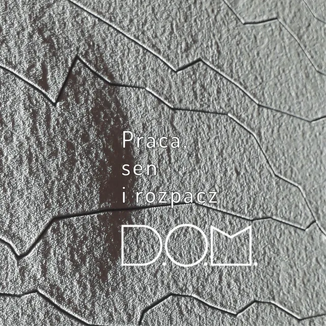 Vs by D.O.M. - Frenchcore cover art