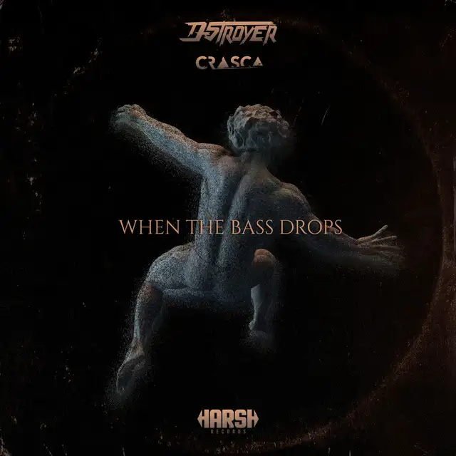 When The Bass Drops - Radio Mix by D-Stroyer, Crasca - Hardstyle cover art