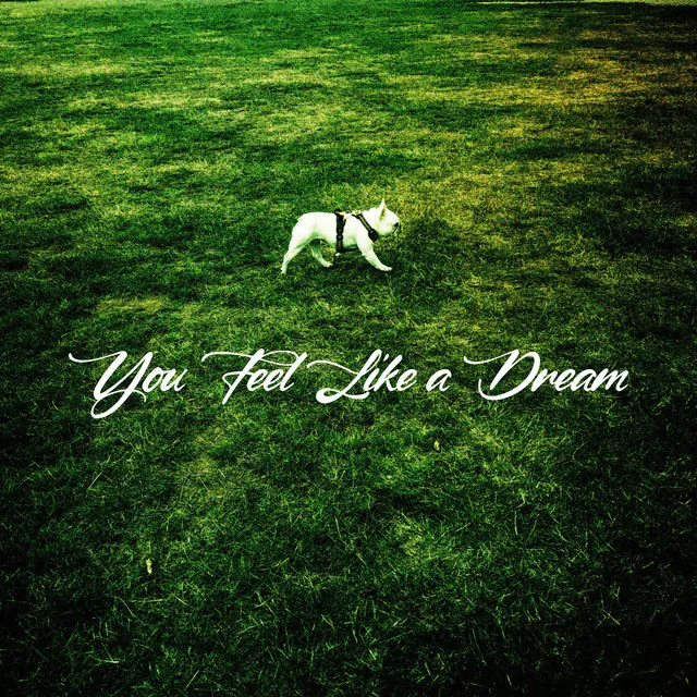You Feel Like a Dream by DAG - Happy Hardcore cover art