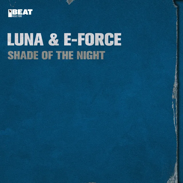Cover art of Shade of the Night