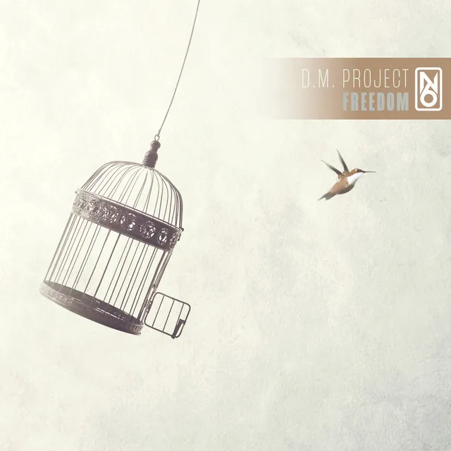 Freedom - Dark Intentions Remix by Dark Intentions, D.M. Project - Hardstyle cover art