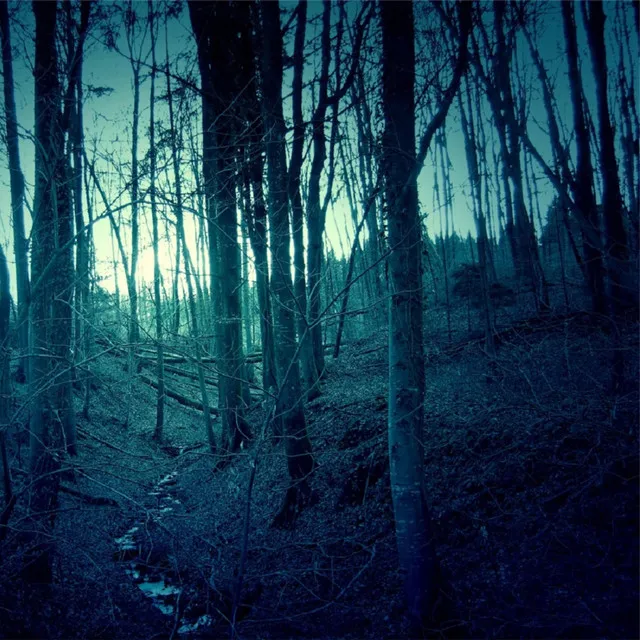 Cover art of Darkness and Light