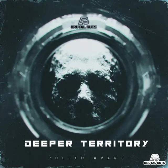 Pulled Apart by Darwin, Deeper Territory - Happy Hardcore cover art