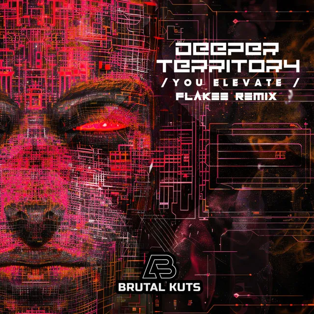 You Elevate - Extended Mix by Darwin, Flakee, Deeper Territory - Happy Hardcore cover art