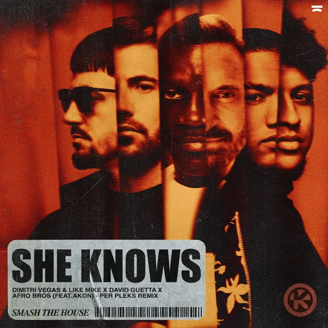 She Knows - Per Pleks Remix by David Guetta, Akon, Dimitri Vegas & Like Mike, Afro Bros, Per Pleks - Hard Techno cover art