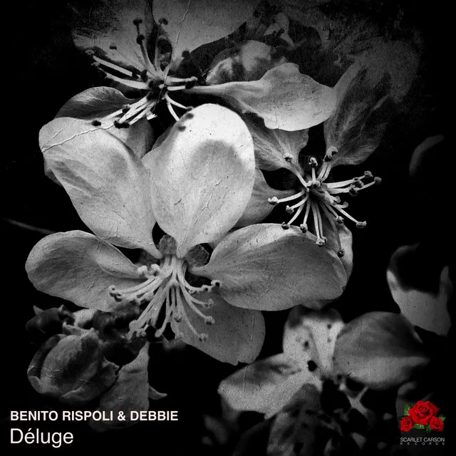 Déluge by DEBBIE IT, Rispoli Benito - Hard Techno cover art
